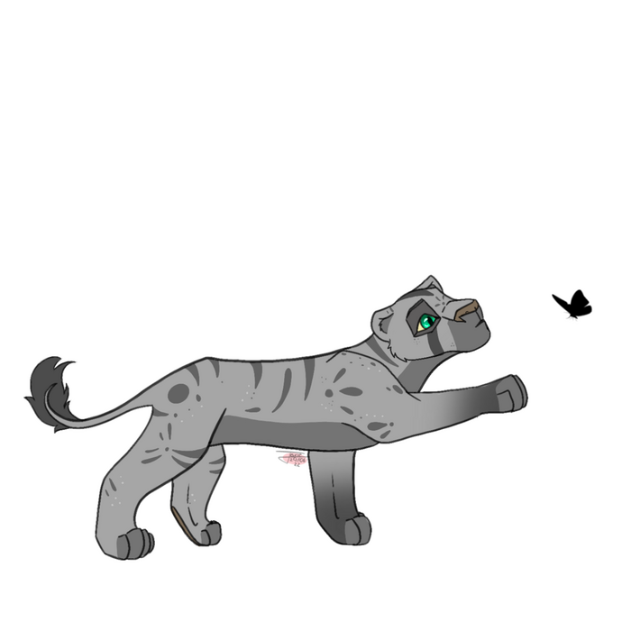 Fullbody
